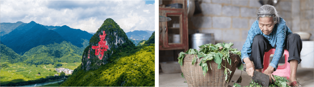 巴马长寿村